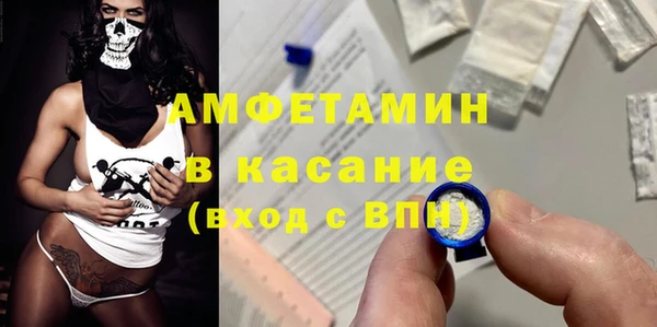 молекула духа Богородск