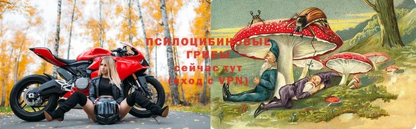 молекула духа Богородск